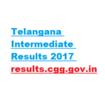 Telangana Intermediate Results 2017