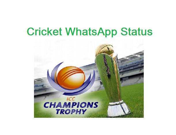 Cricket WhatsApp Status in hindi