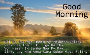 Good Morning Quotes in Hindi for WhatsApp
